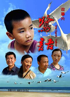 中文字幕不卡免费在线观看